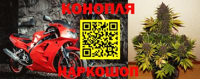 спайс Берёзовский